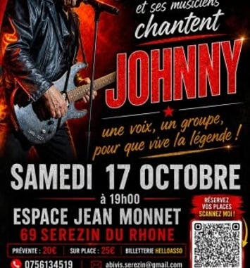 Hommage à Johnny