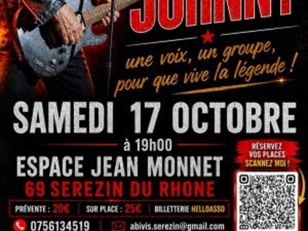 Hommage à Johnny