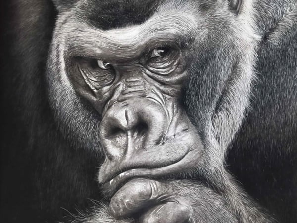 Peintures de Sophie Monroger