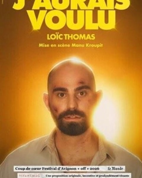 Loïc Thomas, J'aurais Voulu
