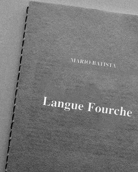 Langue fourche