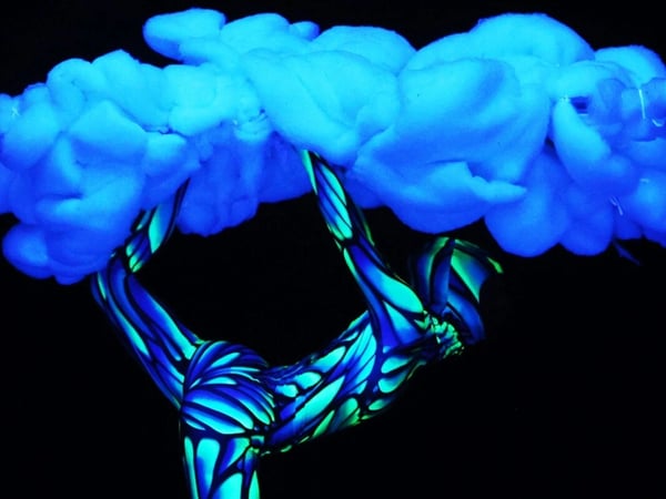 Evolution Dance Theater : Cosmos