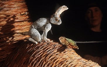 Baobab