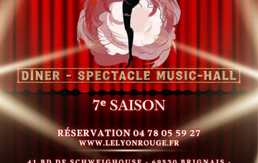 Spectacle cabaret strass plumes paillettes