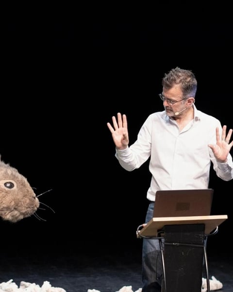 Le problème lapin cartographie 7