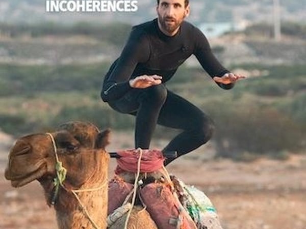 Sylvain Fergot dans Incohérences