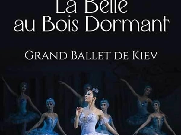 La belle au bois dormant
