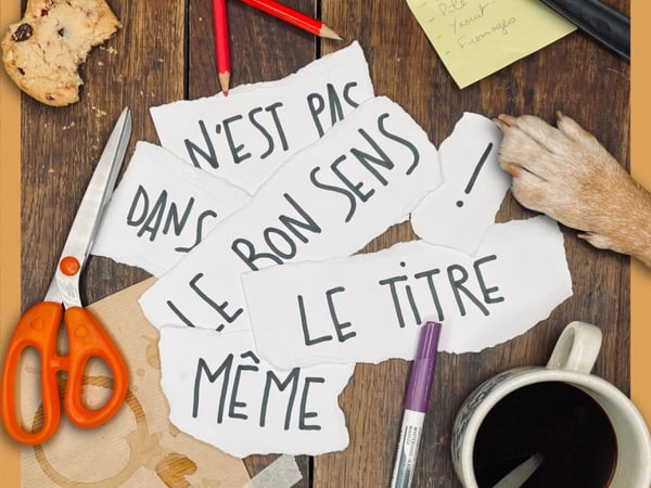 Même le bon sens n'est pas dans le titre