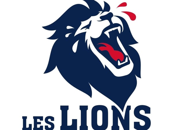 Festival les lions du rire
